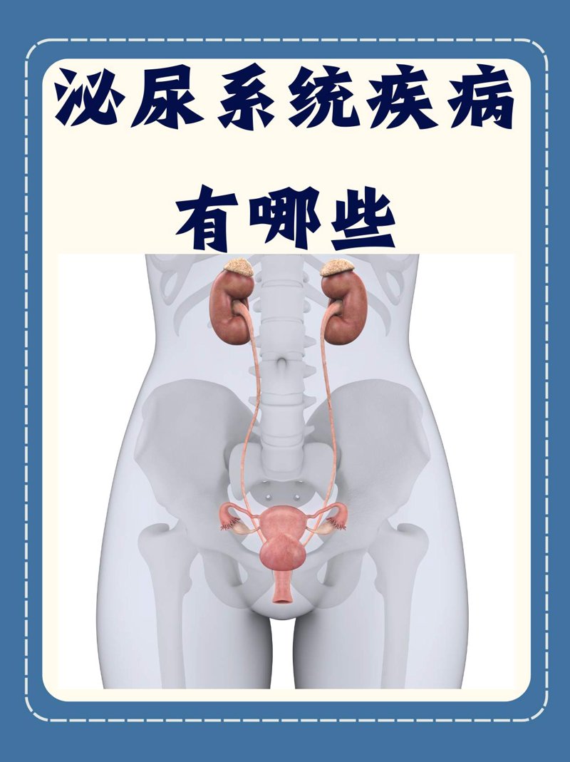 厦门出入境检验检疫局：保障厦门国际物流畅通的坚实保障